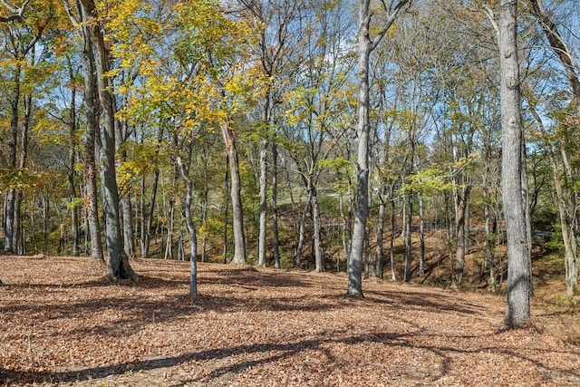 view of landscape