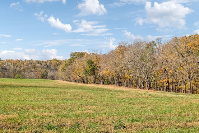 view of yard featuring a rural view