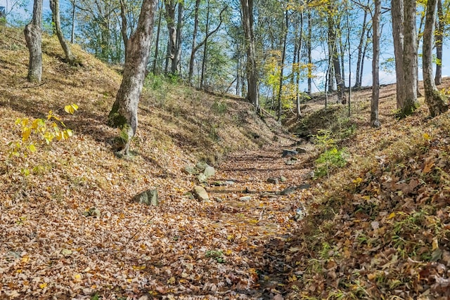 view of nature