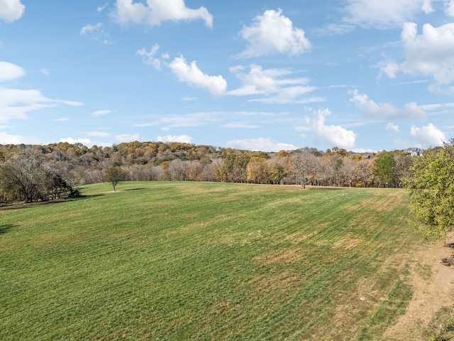 view of yard featuring a rural view