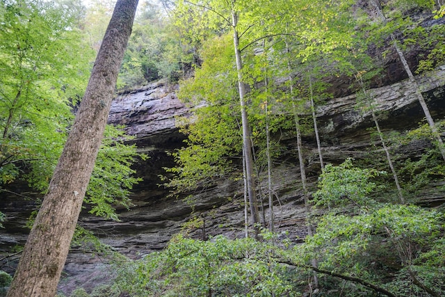 view of landscape