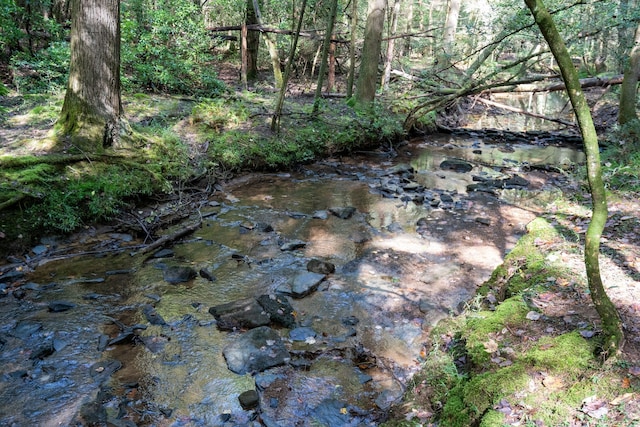 view of local wilderness