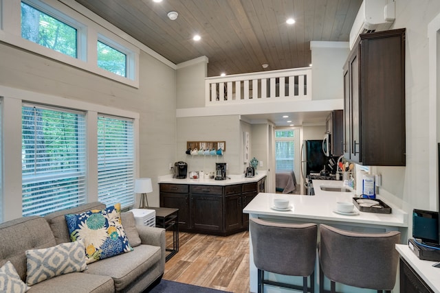 kitchen with dark brown cabinets, a towering ceiling, light hardwood / wood-style floors, and a wealth of natural light