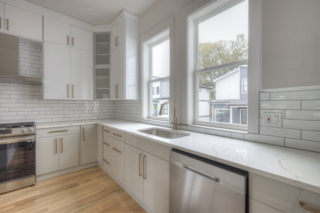 kitchen featuring ventilation hood, a wealth of natural light, sink, and appliances with stainless steel finishes