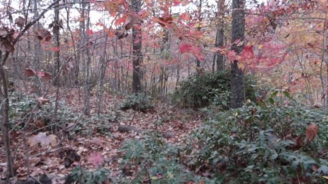 0 Drew Ct, Smithville, TN 37166 - photo 4