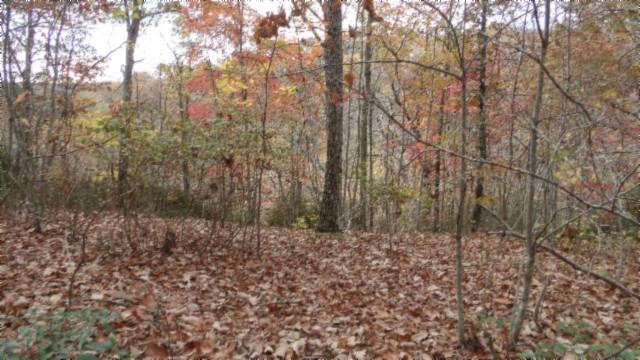 0 Drew Ct, Smithville, TN 37166 - photo 16