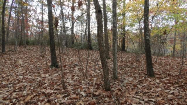 0 Drew Ct, Smithville, TN 37166 - photo 10