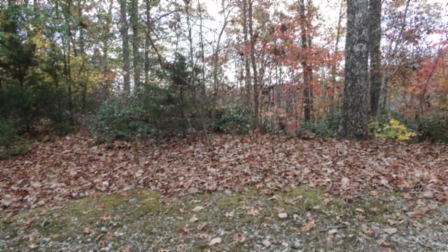 0 Drew Ct, Smithville, TN 37166 - photo 2