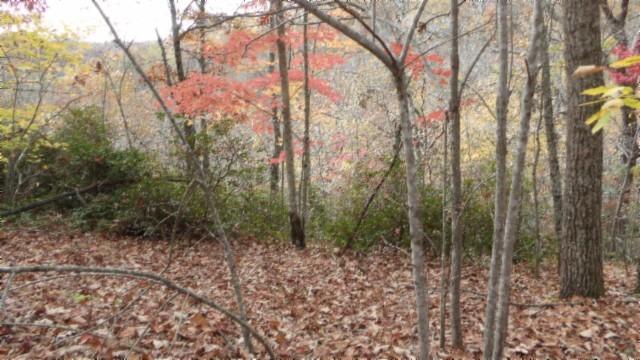 0 Drew Ct, Smithville, TN 37166 - photo 20