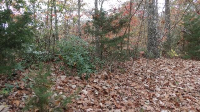 0 Drew Ct, Smithville, TN 37166 - photo 8