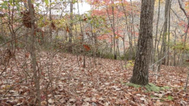 0 Drew Ct, Smithville, TN 37166 - photo 18