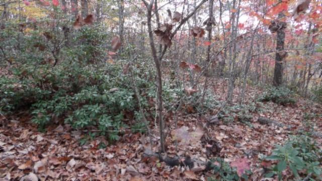 0 Drew Ct, Smithville, TN 37166 - photo 7