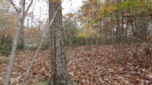 0 Drew Ct, Smithville, TN 37166 - photo 24