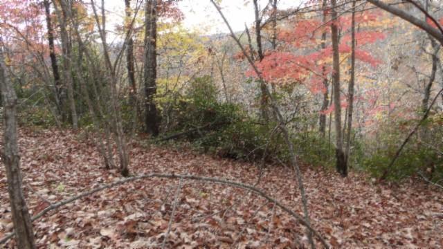 0 Drew Ct, Smithville, TN 37166 - photo 21