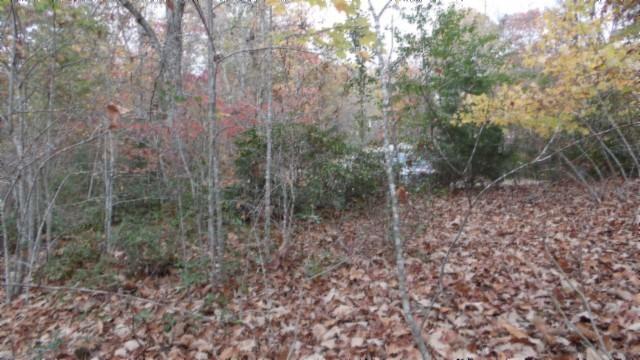 0 Drew Ct, Smithville, TN 37166 - photo 29