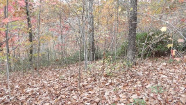 0 Drew Ct, Smithville, TN 37166 - photo 19