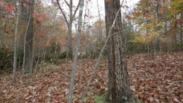 0 Drew Ct, Smithville, TN 37166 - photo 23