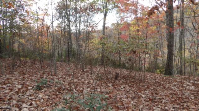 0 Drew Ct, Smithville, TN 37166 - photo 15