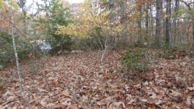 0 Drew Ct, Smithville, TN 37166 - photo 27