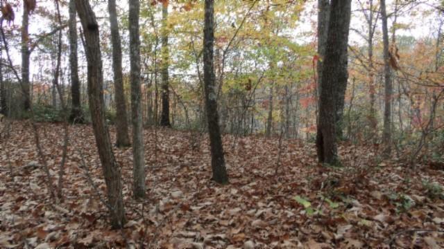 0 Drew Ct, Smithville, TN 37166 - photo 9