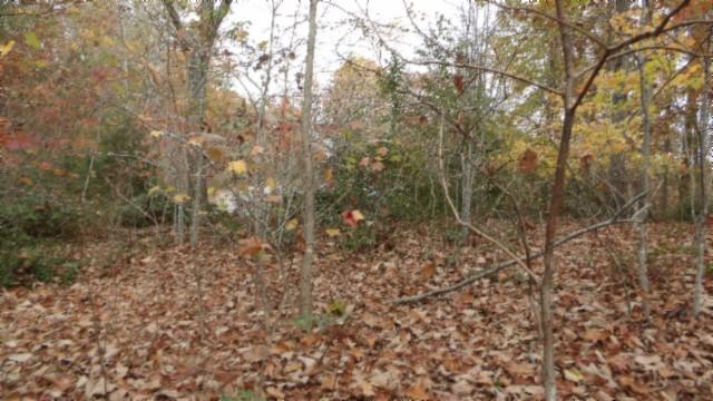 0 Drew Ct, Smithville, TN 37166 - photo 25