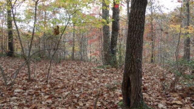 0 Drew Ct, Smithville, TN 37166 - photo 11