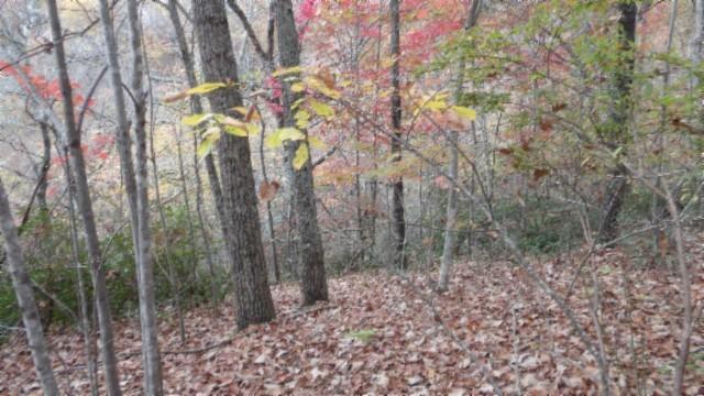 0 Drew Ct, Smithville, TN 37166 - photo 22