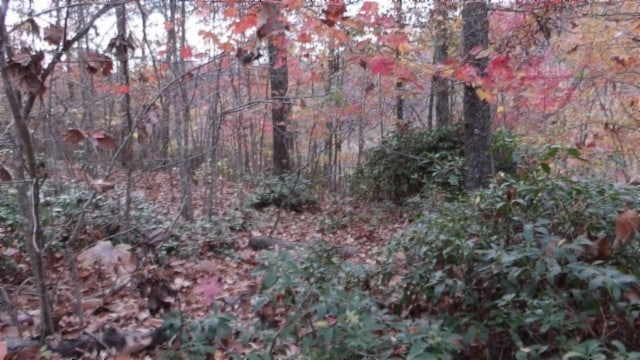 0 Drew Ct, Smithville TN, 37166 land for sale