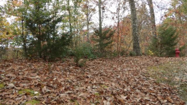 0 Drew Ct, Smithville, TN 37166 - photo 28