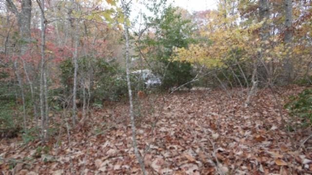 0 Drew Ct, Smithville, TN 37166 - photo 26