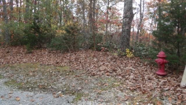 0 Drew Ct, Smithville, TN 37166 - photo 30