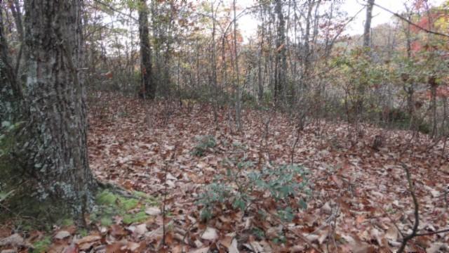 0 Drew Ct, Smithville, TN 37166 - photo 13