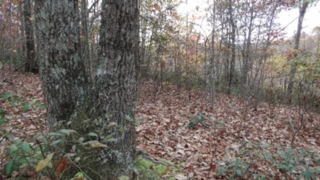 0 Drew Ct, Smithville, TN 37166 - photo 14