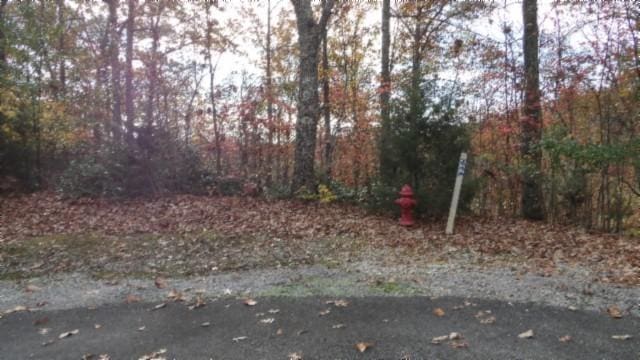 0 Drew Ct, Smithville, TN 37166 - photo 41