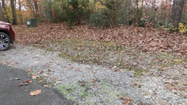 0 Drew Ct, Smithville, TN 37166 - photo 43