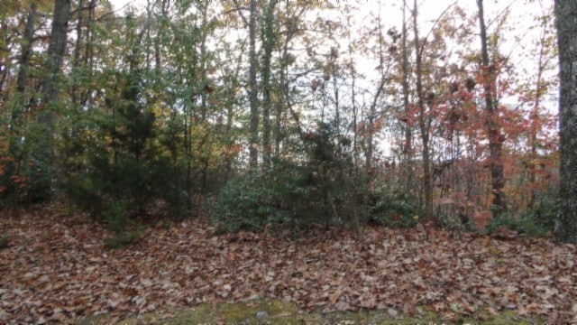 Listing photo 3 for 0 Drew Ct, Smithville TN 37166