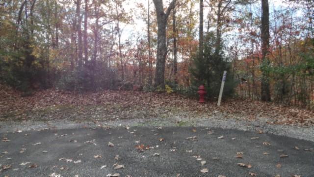 0 Drew Ct, Smithville, TN 37166 - photo 45