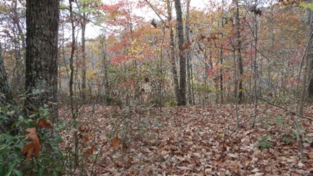 0 Drew Ct, Smithville, TN 37166 - photo 12