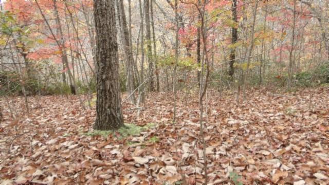 0 Drew Ct, Smithville, TN 37166 - photo 17