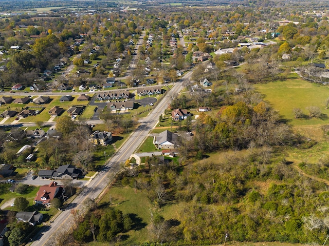 bird's eye view