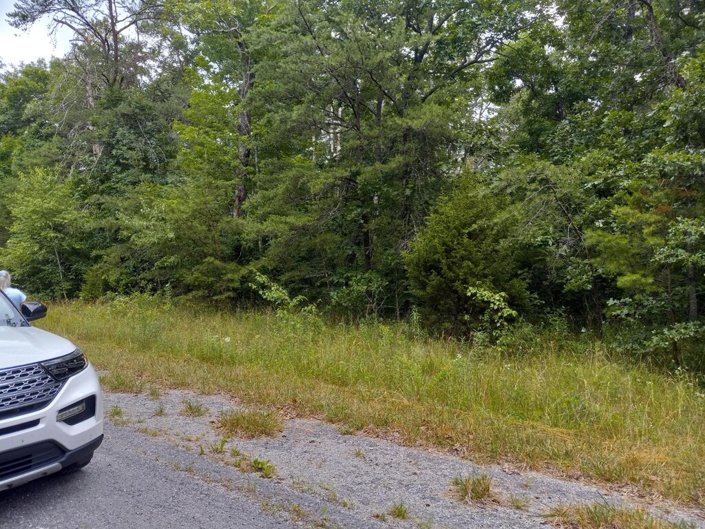 1163 Chanute Trl, Crossville, TN 38572 - photo 3