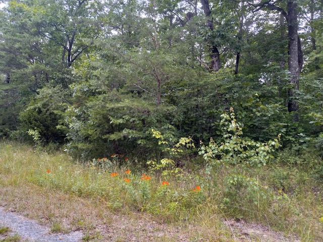 1163 Chanute Trl, Crossville, TN 38572 - photo 1