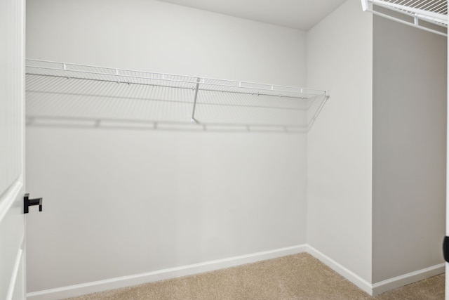 spacious closet with carpet floors