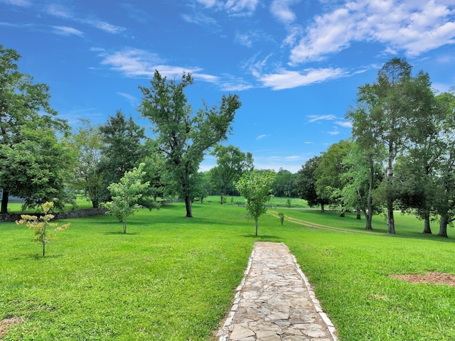 view of home's community featuring a lawn