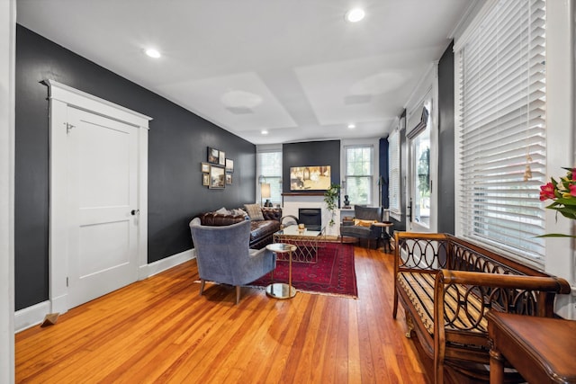 living room featuring light hardwood / wood-style floors