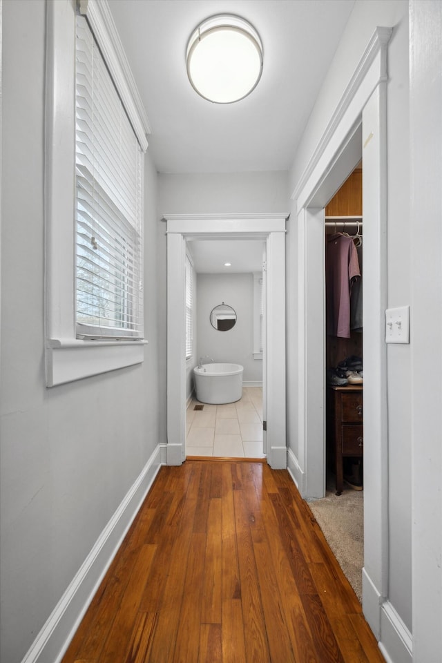 corridor featuring hardwood / wood-style flooring