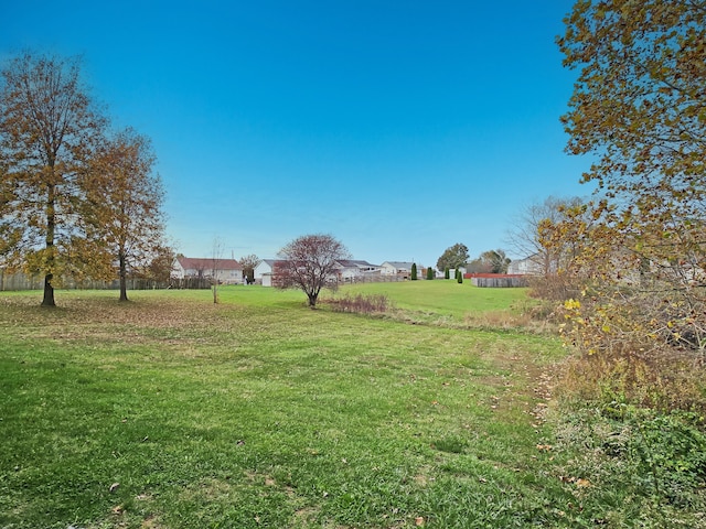 view of yard