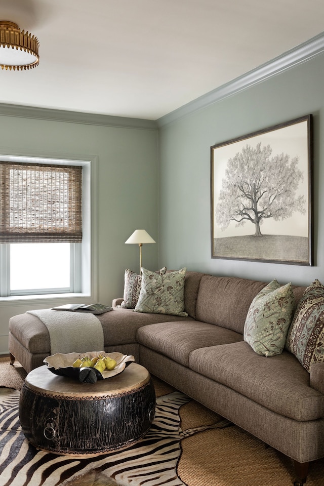 living room featuring crown molding