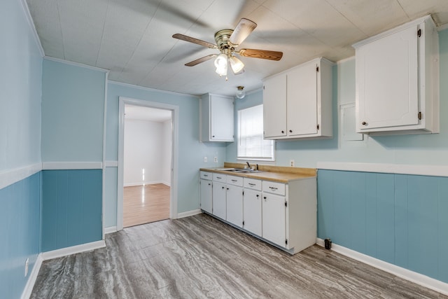 kitchen with sink, ceiling fan, light wood-type flooring, ornamental molding, and white cabinetry