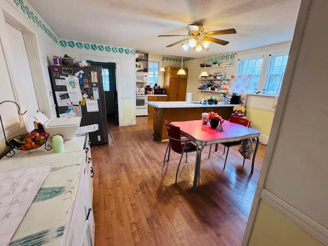 dining area with hardwood / wood-style flooring, ceiling fan, sink, and a textured ceiling